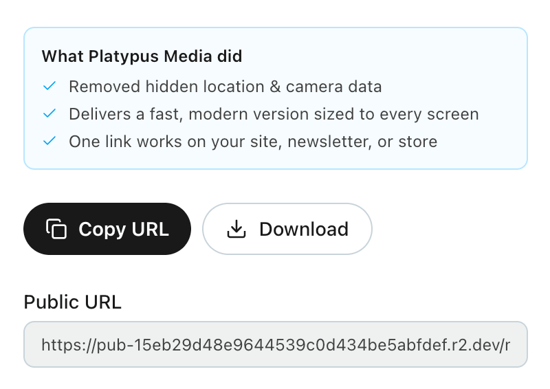 An image's detail page showing Platypus Media's automatic optimizations
