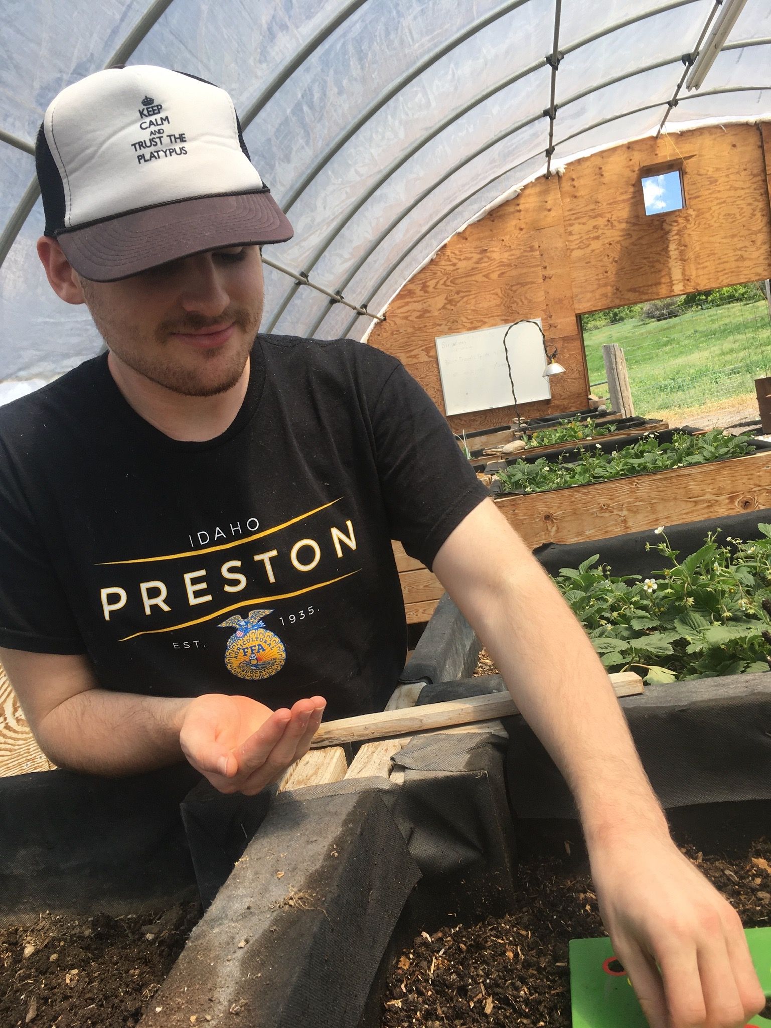 Derek at the Greenhouse, working in a grow box