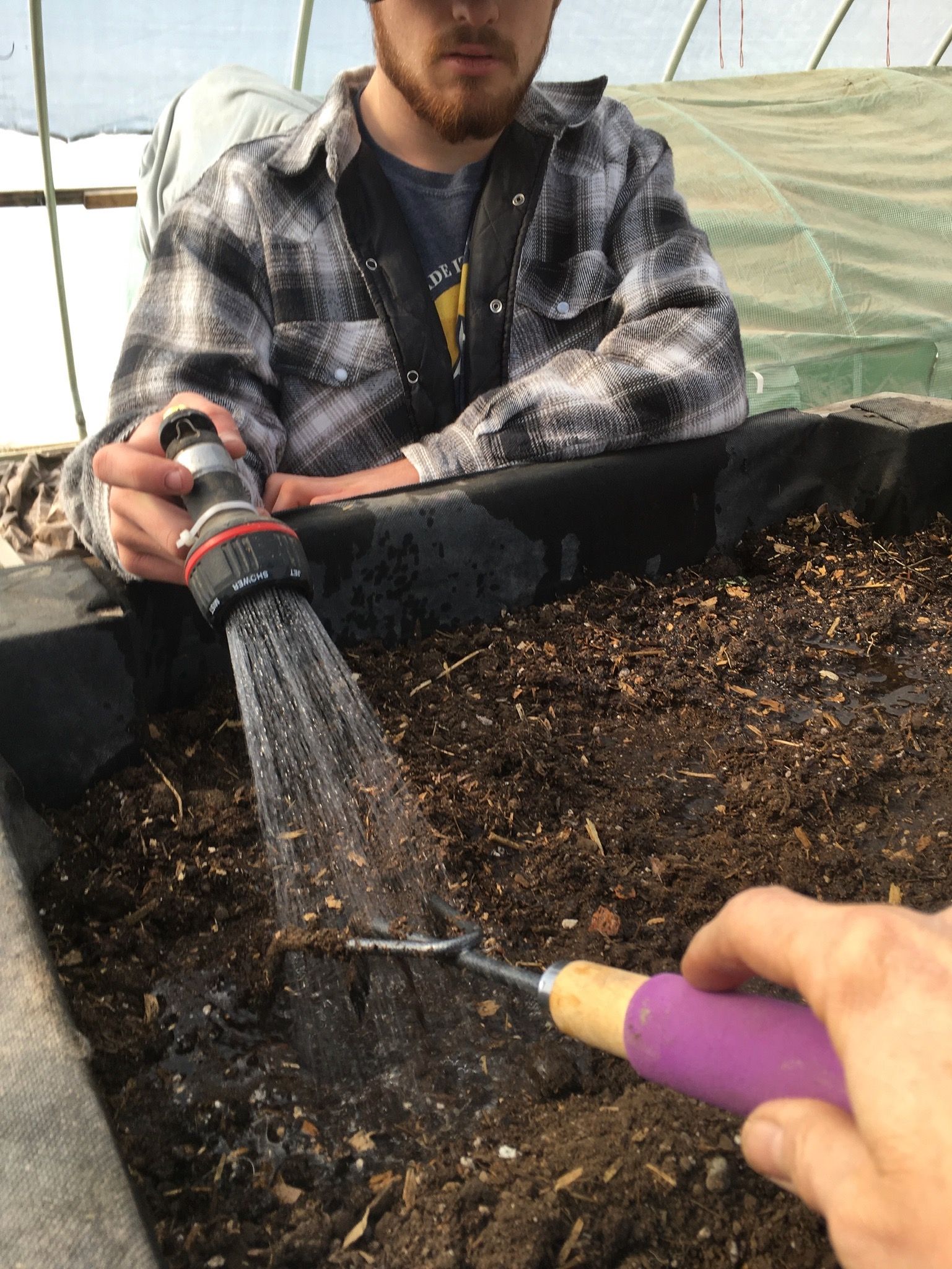 Derek watering newly planted seeds in a grow box.