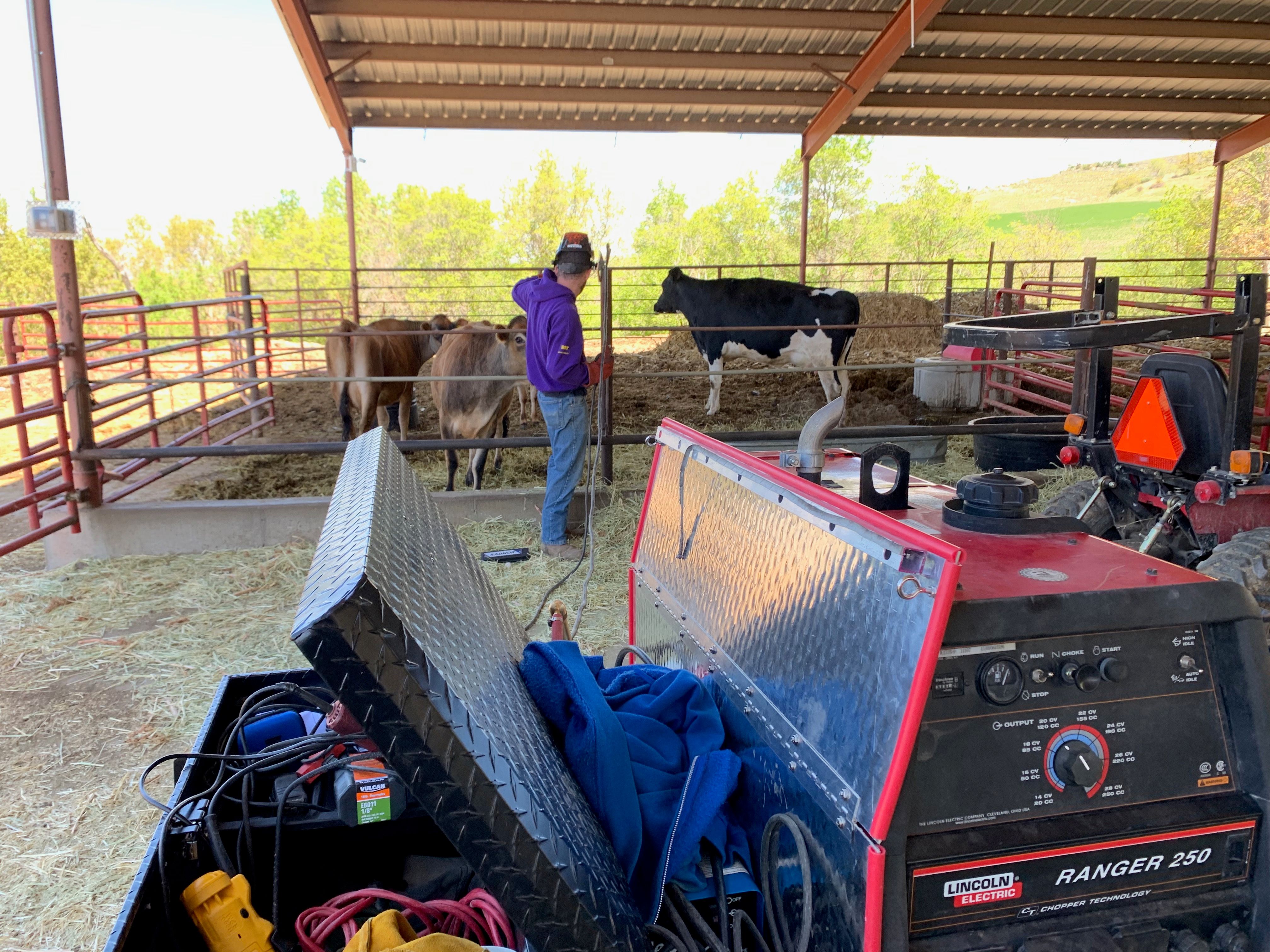 Jimmie works on a fence with cows in the background and his Lincoln welder Abe in the foreground